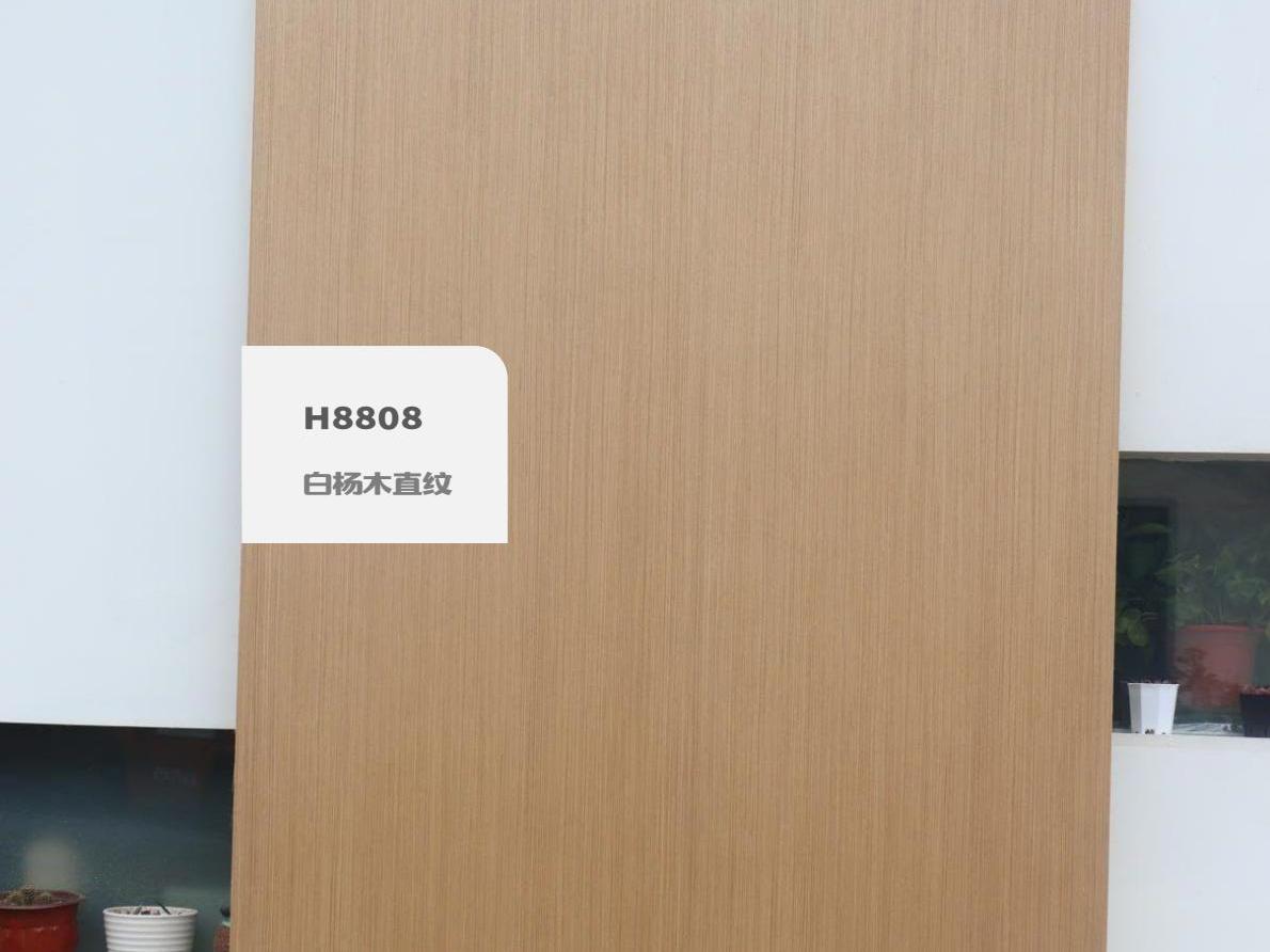 白楊木直紋