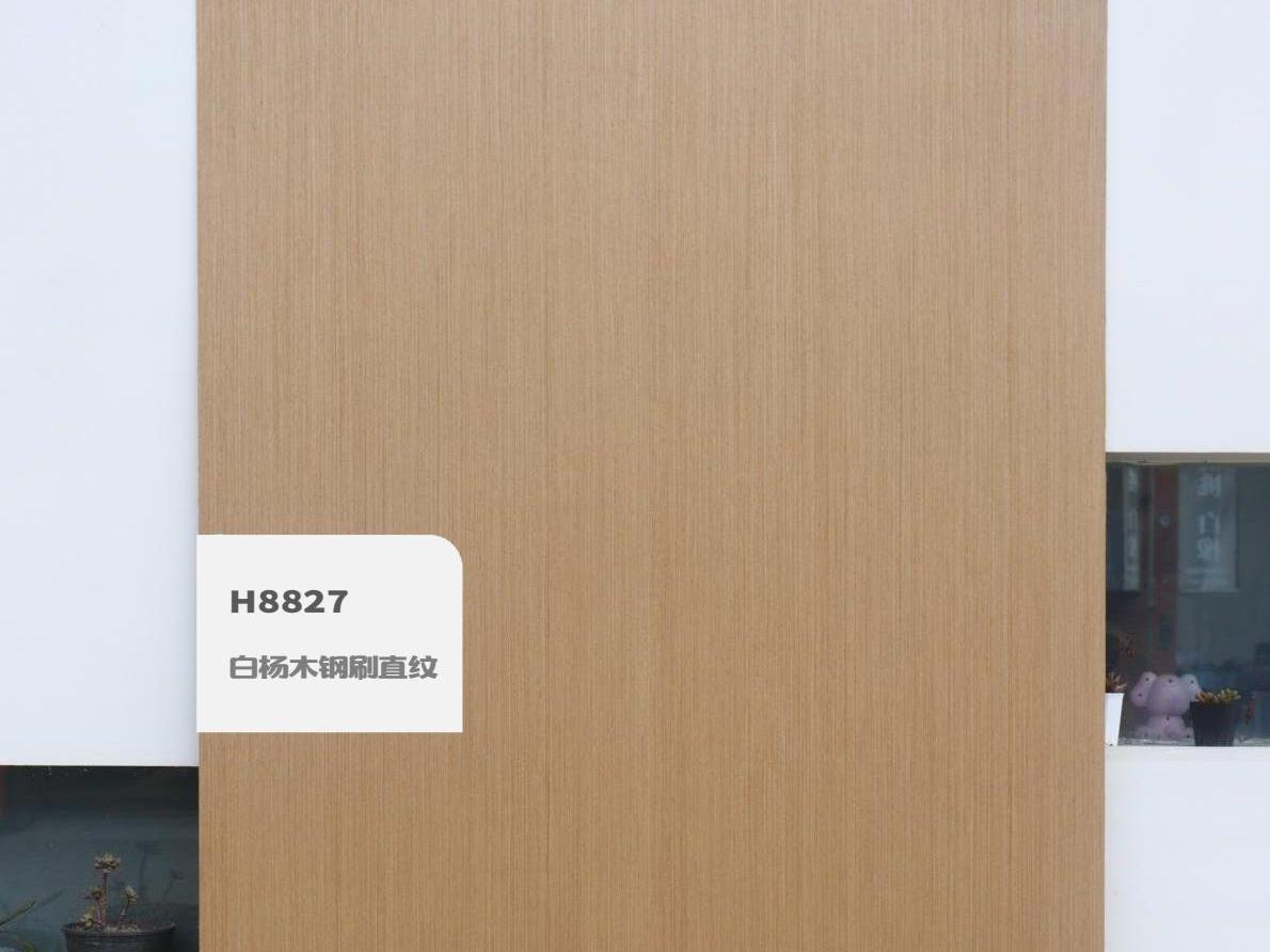 歐雅涂裝板電子樣冊（實拍） 1-逐頁轉(zhuǎn)圖片-00030