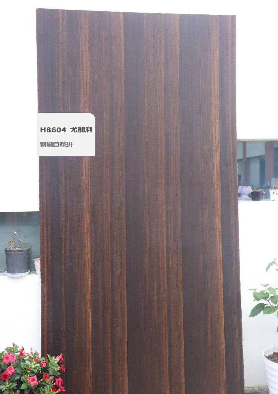 香港福江南板材,福江南木業(yè),香杉木生態(tài)板銷(xiāo)售,桐木生態(tài)板銷(xiāo)售,